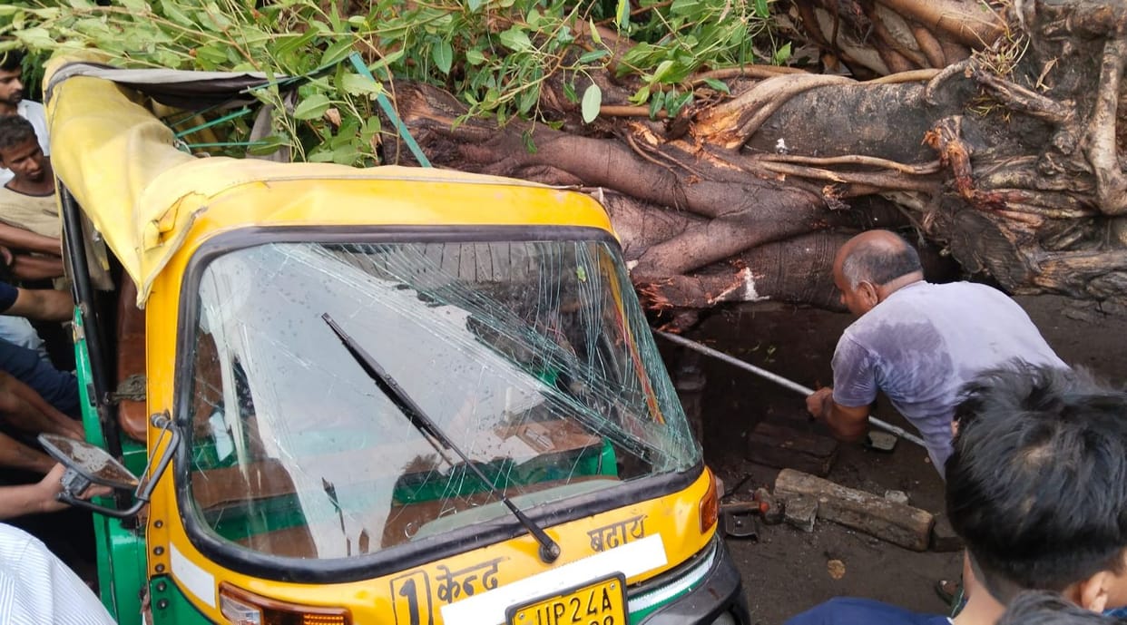 The tree was lifted using a jack, and the young woman was extricated after cutting through the Tempo.