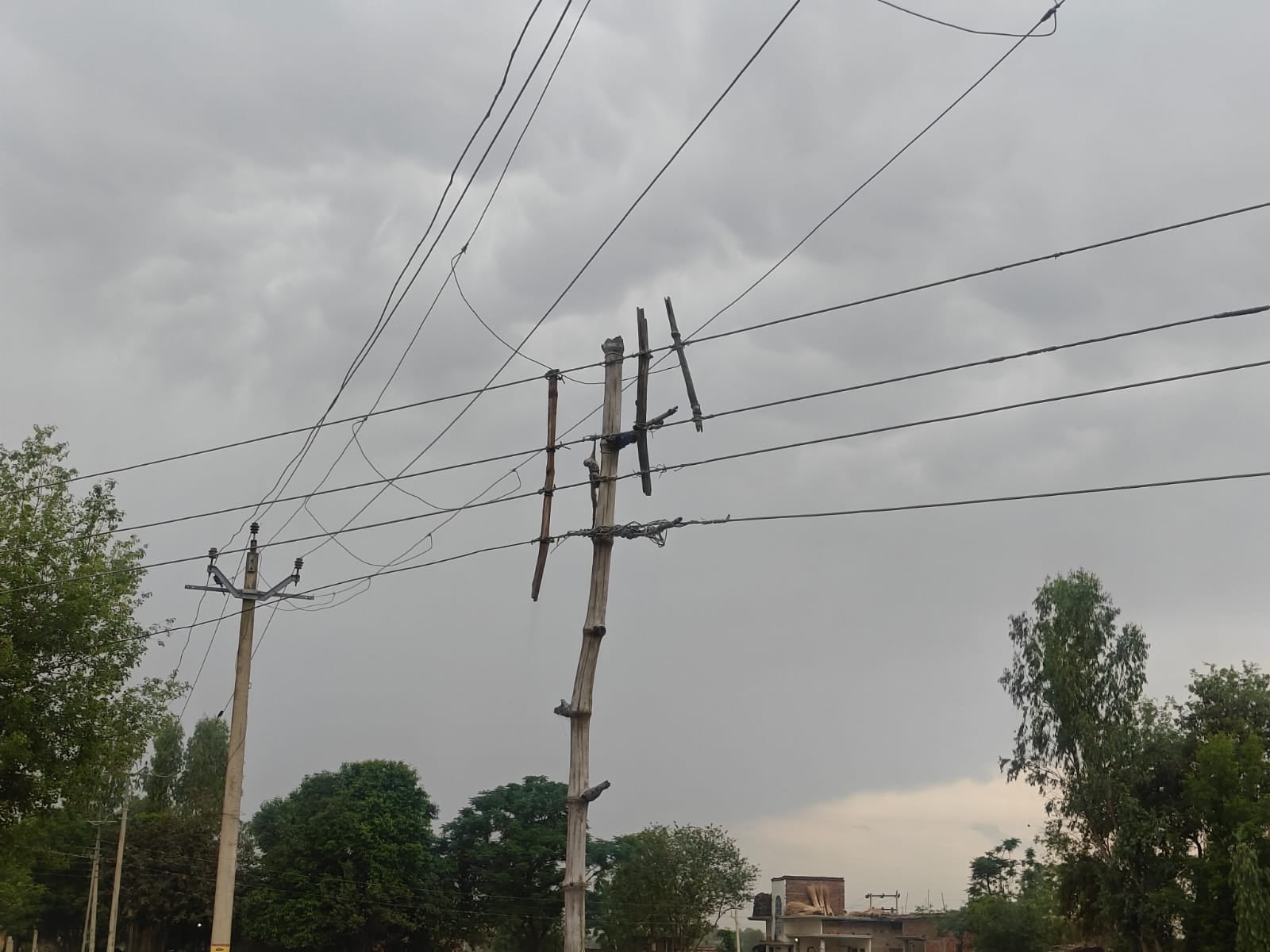 बिजली का तार (फाइल फोटो)