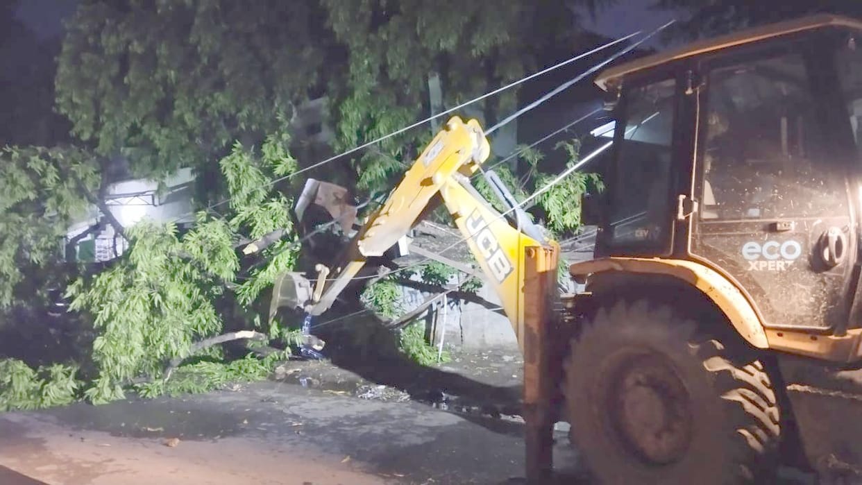 A storm with wind speeds of 70 km/h wreaked havoc; trees fell on power lines, disrupting the electricity supply.