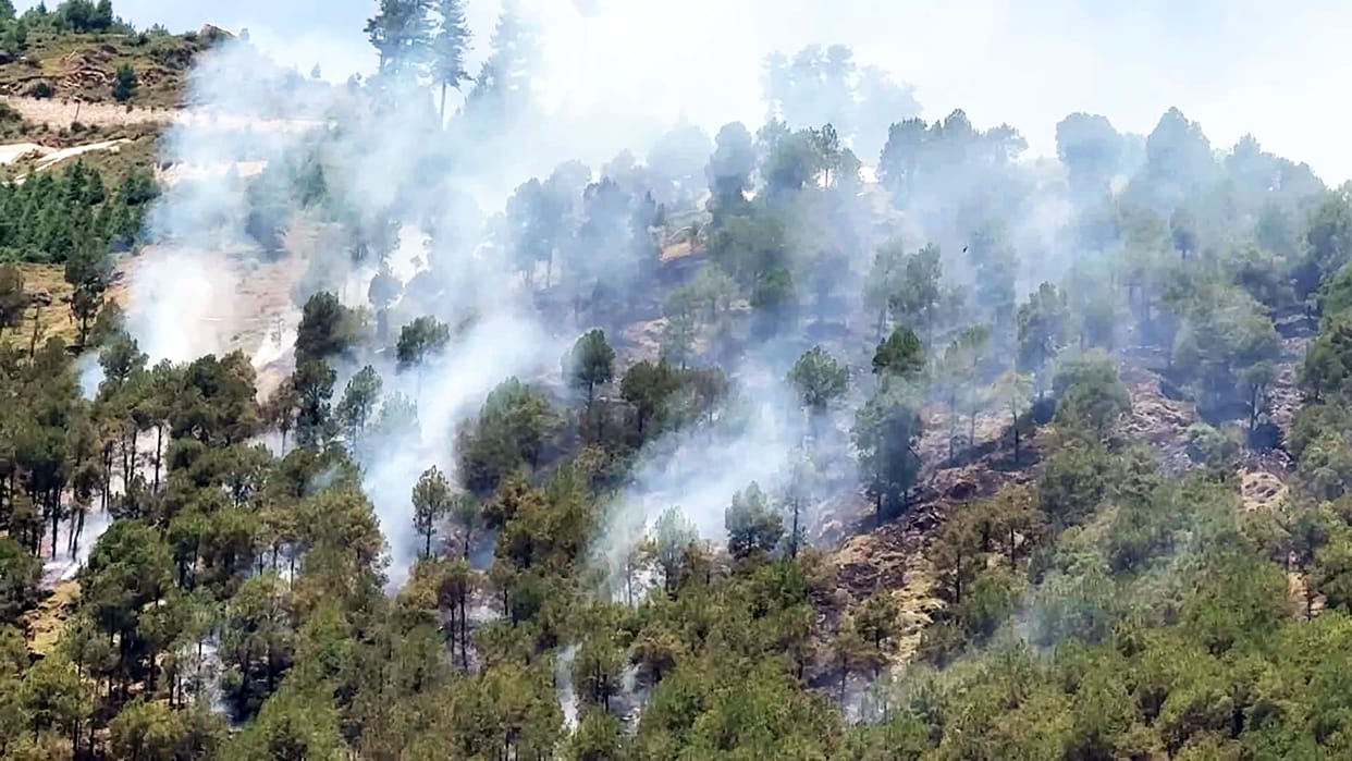 The Shetafat forest smoldered all night long.