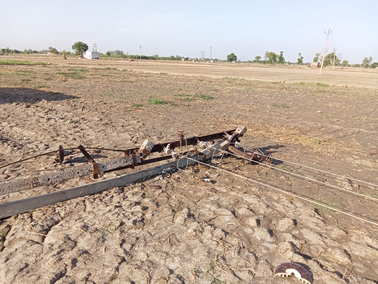 Electricity poles down for five days; paddy seedlings on the verge of withering.