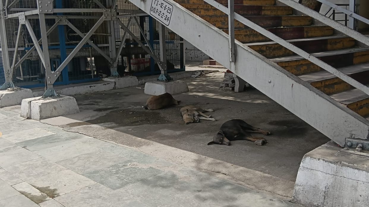 Poor conditions at the railway station premises; passengers facing inconvenience.
