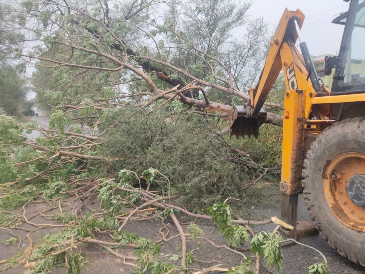 Weather shifts due to storm and rain; over 50 trees toppled