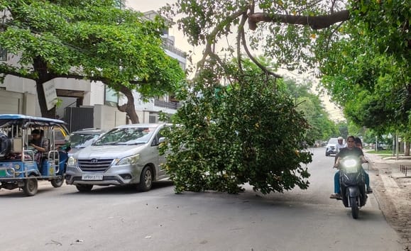 Dust storm brings traffic to a halt; trees and hoardings toppled at various locations.