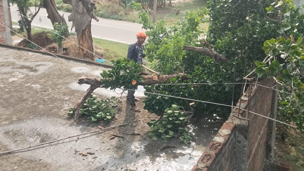 Storm and rain wreak havoc; poles topple, power goes out.