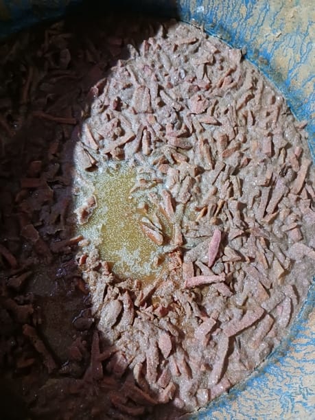 Pickle being made from rotten vegetables; raid conducted.