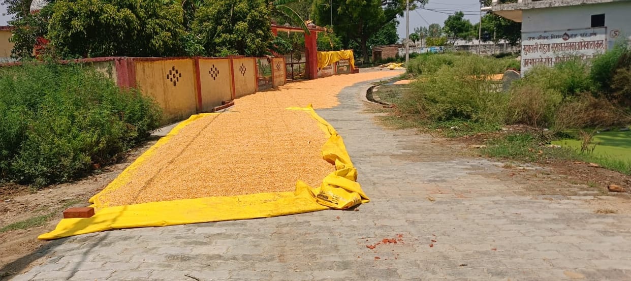 Centres for maize procurement have not opened.