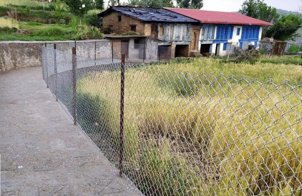 Wire fencing installed in Thanta village; crops to be protected from wild animals.