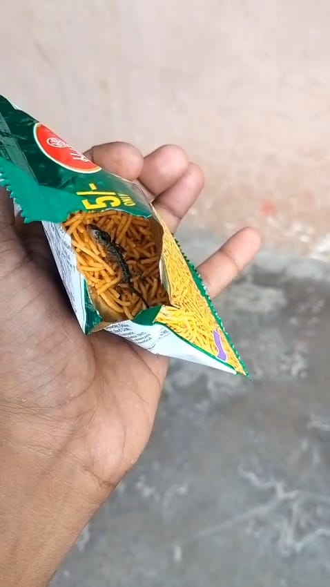 Dead lizard found in packet of savory snacks; consumer expresses displeasure.