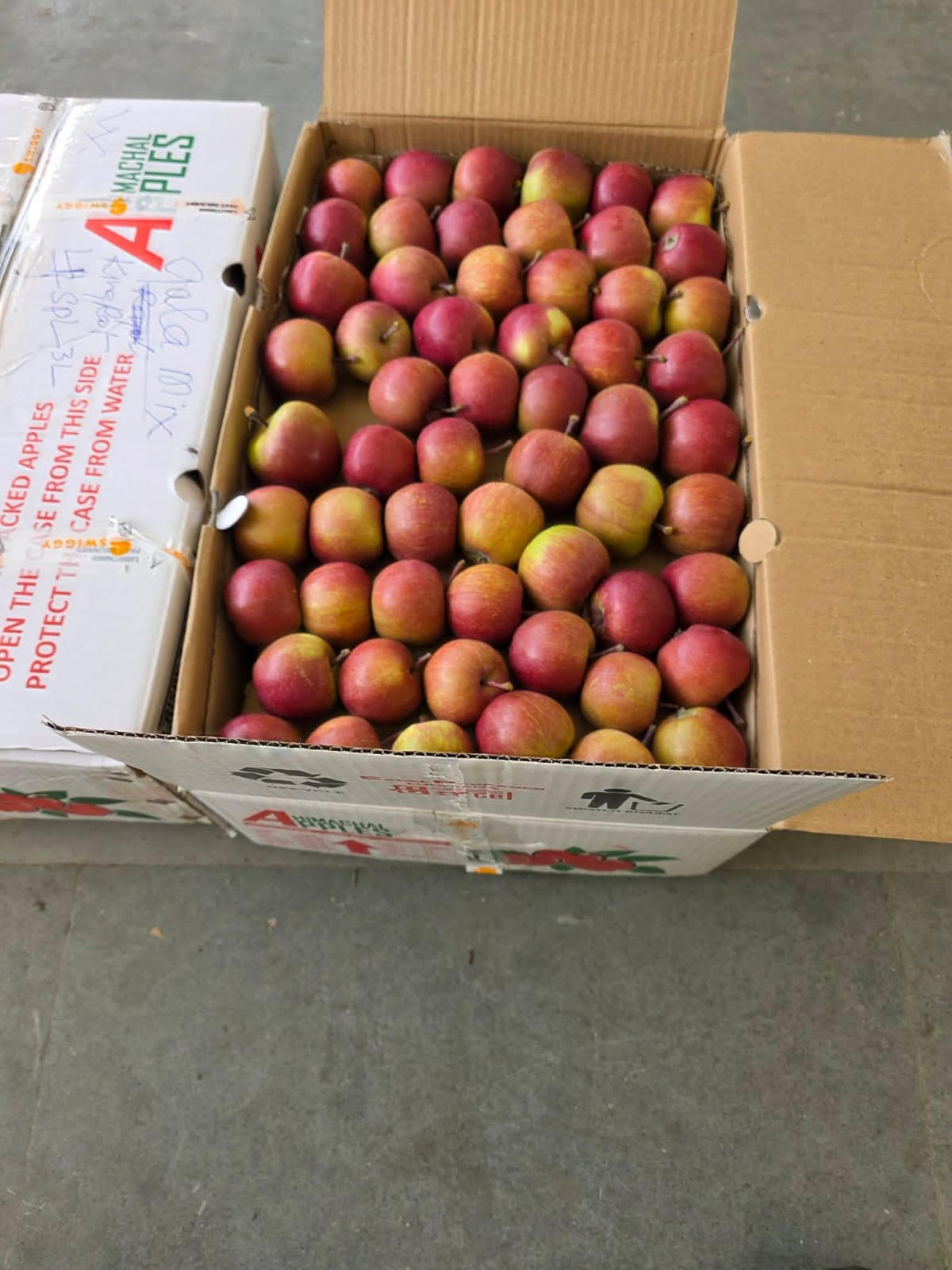 Lackluster debut for early-variety apples