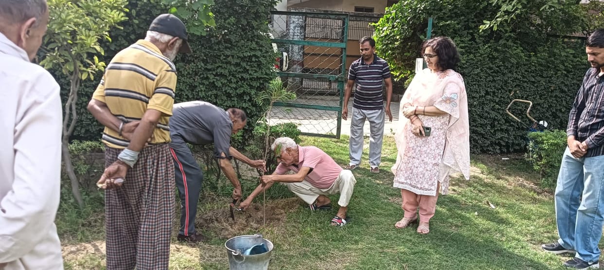 Tree plantation carried out at the old age home premises