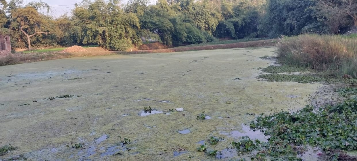 10 crore will be spent to beautify 100 model ponds; 'No Plastic Zone' will be announced all around
