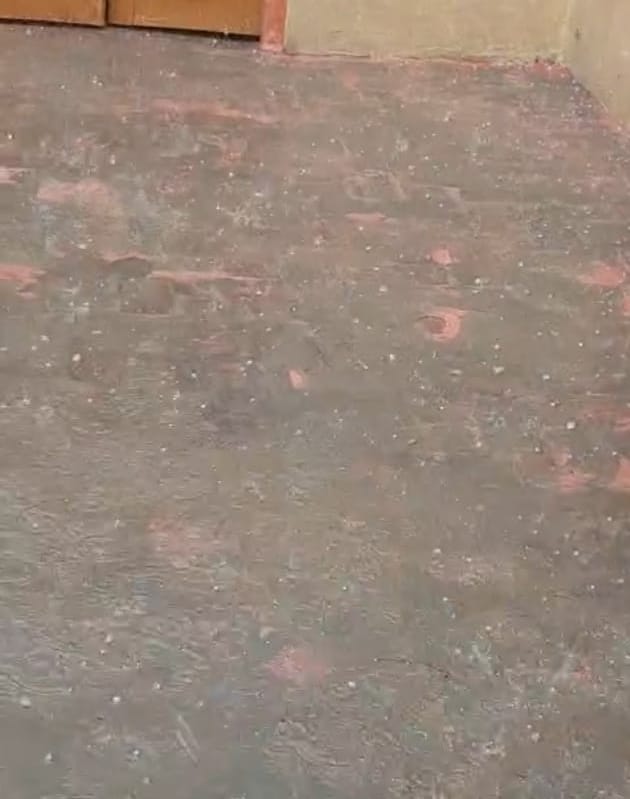 Hailstorm with rain in Chopta area, fear of damage to cotton crop