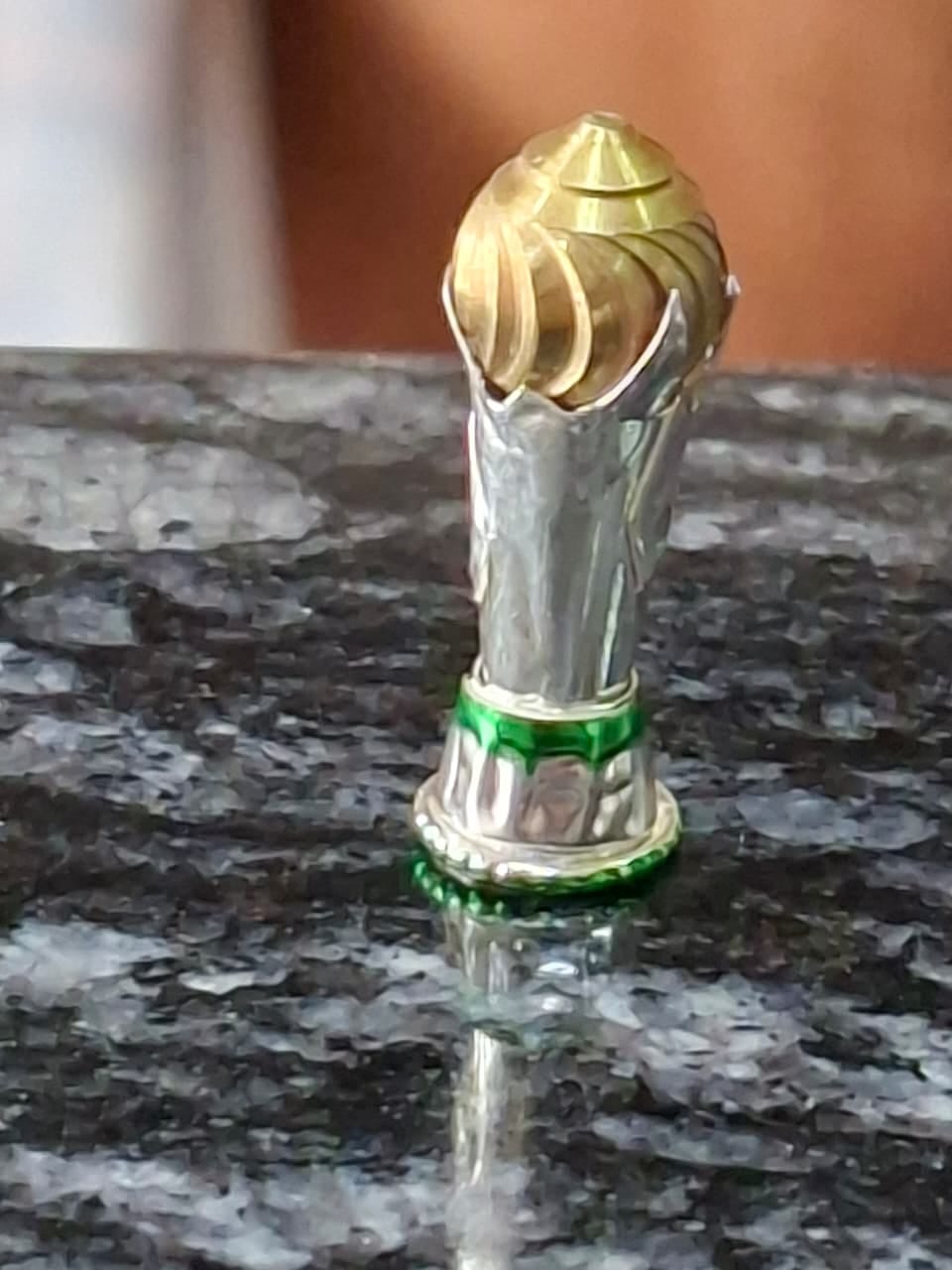 The FIFA World Cup trophy made with just 0.840 milligrams of silver, crafted into a unique miniature by Sajjan Sony with a passion for handicrafts