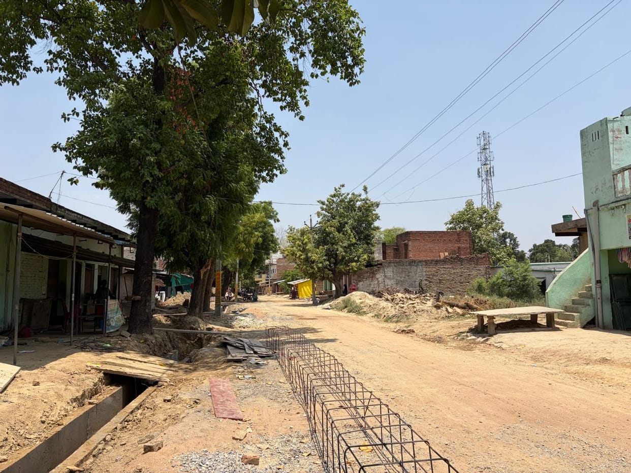 Trees and electricity poles pose obstacles to the widening of the 14-km road.