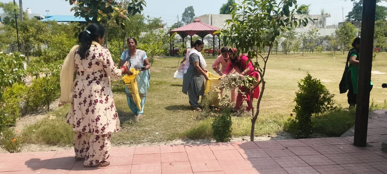 Cleaning of parks and public places