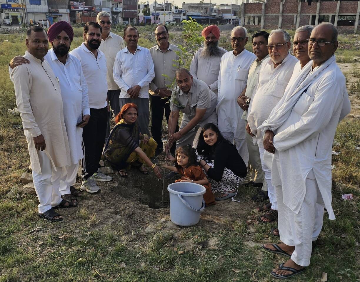 Tree plantation carried out on wedding anniversary and birthday.