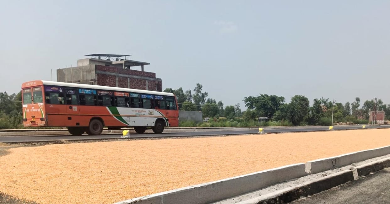 Police drive against drying maize on roads; four farmers caught.