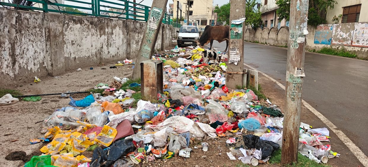 Sanitation services at Baddi Municipal Corporation have come to a halt due to a wage dispute; garbage piles up across the city following the employees' strike.