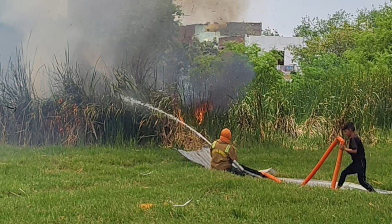 फोटो - 20 आग पर काबू पाने का प्रयास करते दमकल कर्मी। संवाद