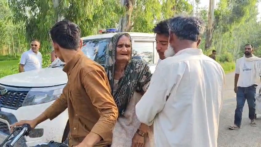Dumper runs over seven buffaloes; three killed