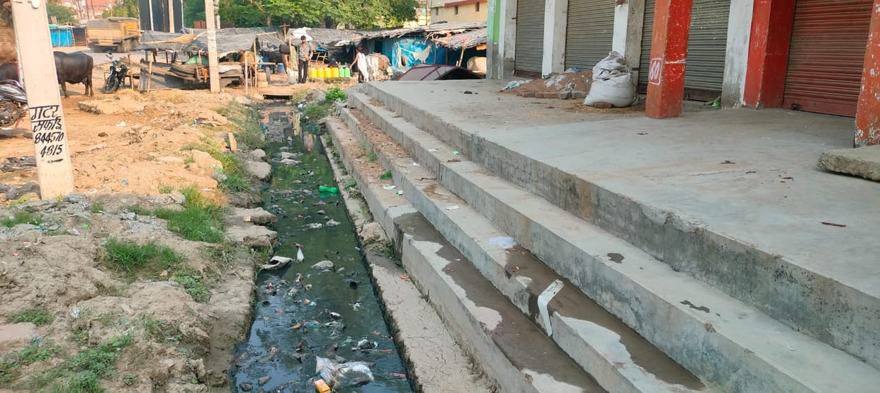 The strong stench rising from the open drain has made life miserable for the residents.