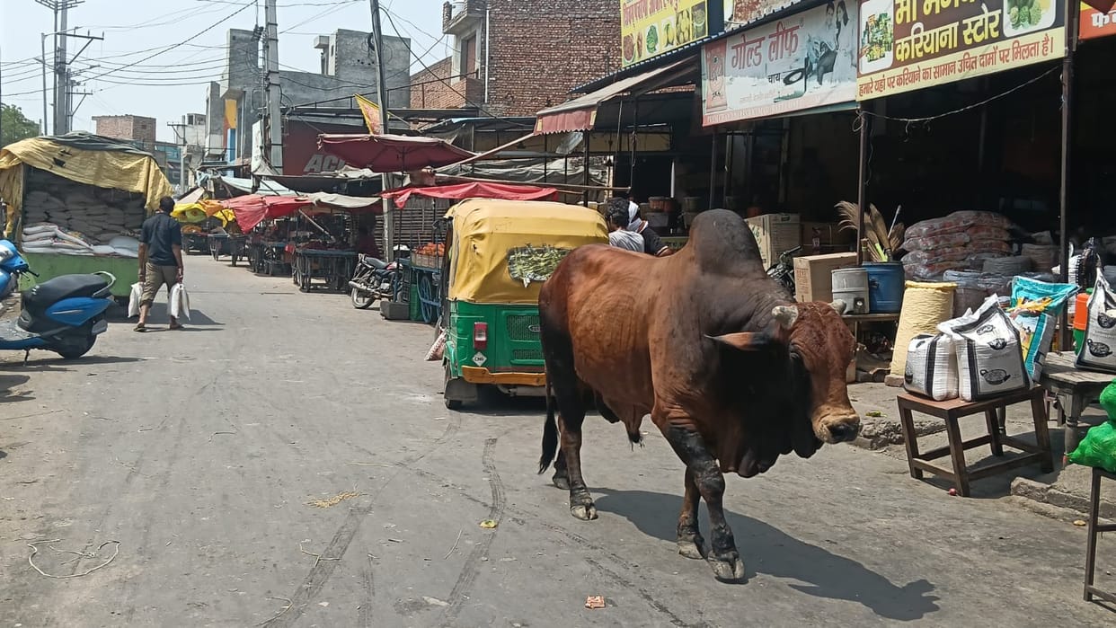 Heaps of filth at the vegetable market near Kabootar Chowk; business affected.