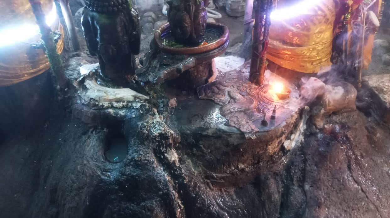 Silver serpent idol, canopy, and cash stolen from Trilokpur Shiva Temple.