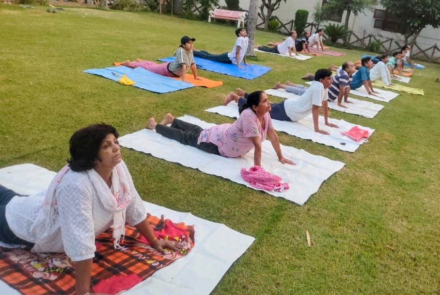 Mandukasana provides benefits for diabetes.