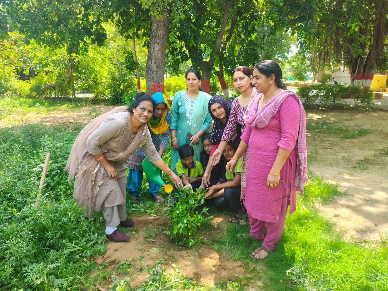 Pledged to adopt and care for a sapling dedicated to one's mother.