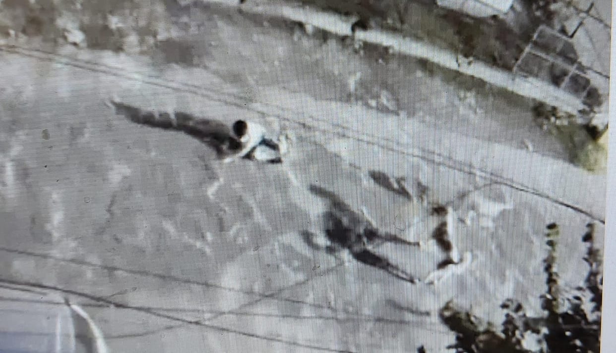 Pack of dogs attacks 5-year-old child; incident caught on CCTV.