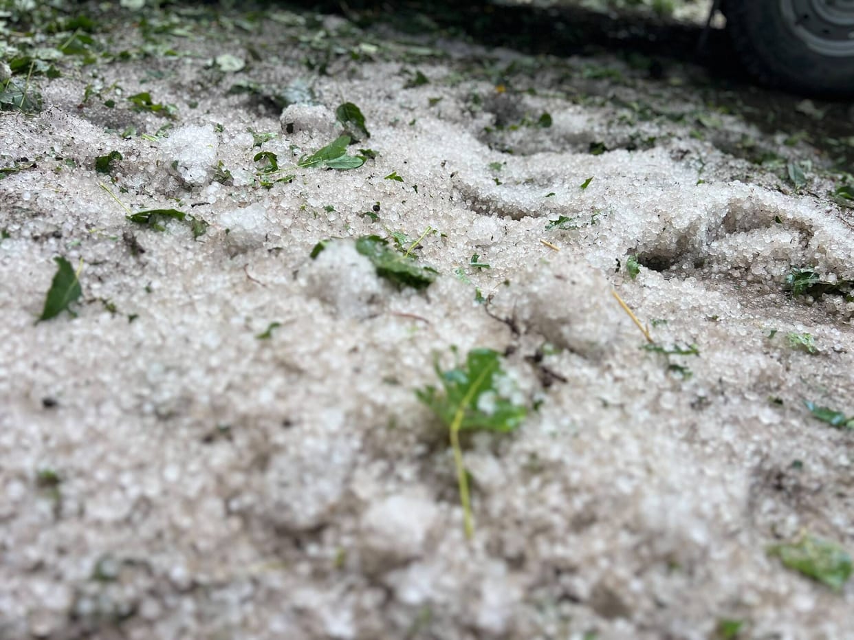 Srinagar, Hailstrom, Shopian, Apple Farms, Effected