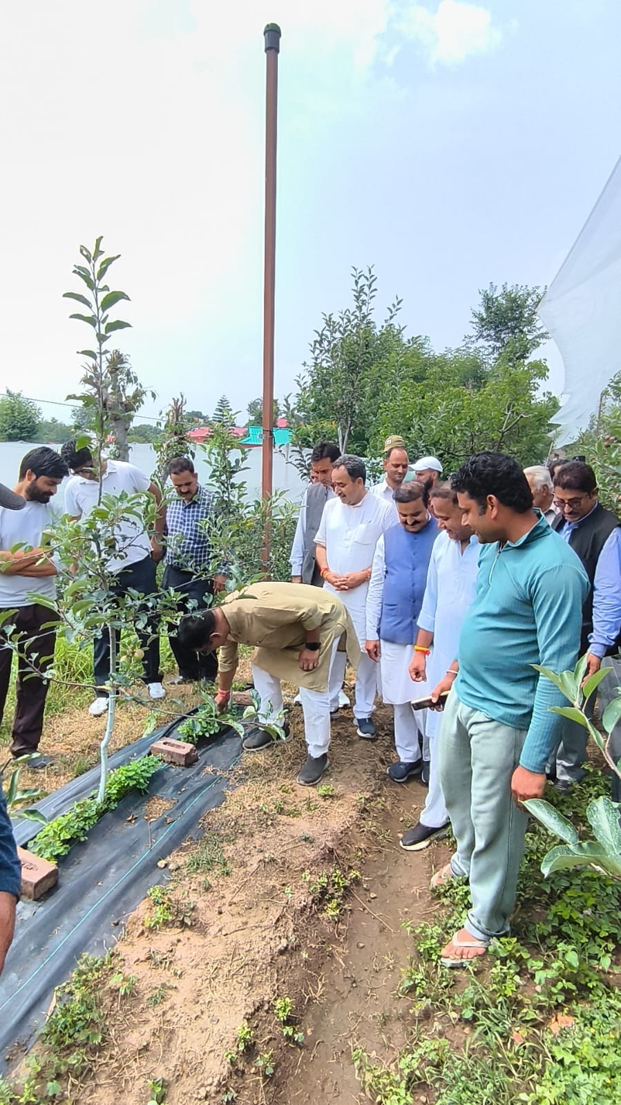 Emphasis on tree plantation and natural farming in Darlaghat.