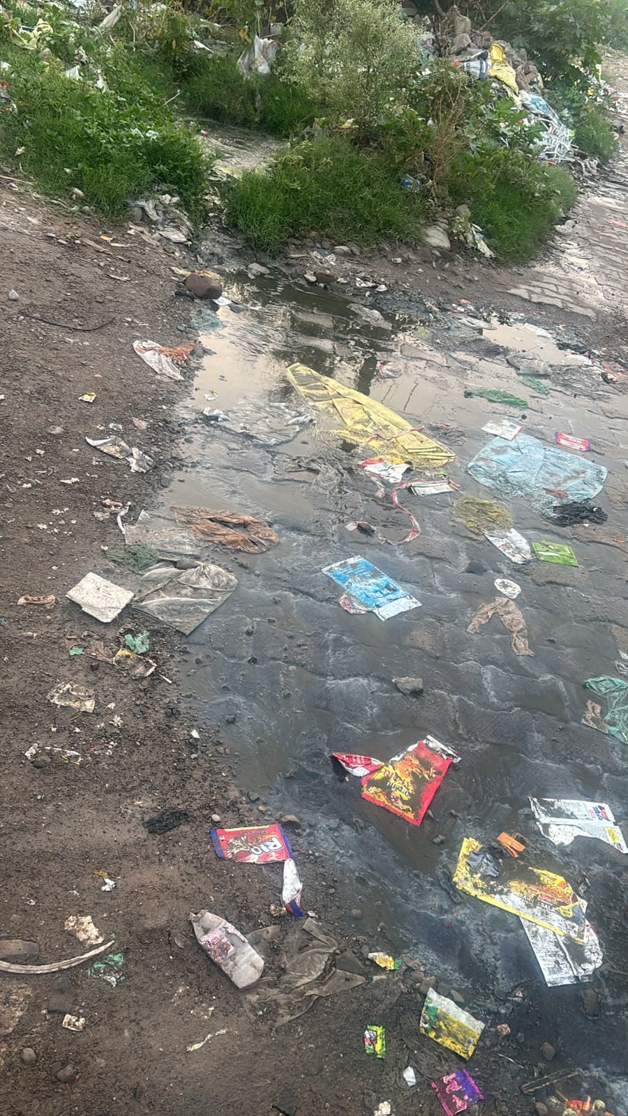 Foul-smelling sewage water flowing on Dhakhrumajra Road.