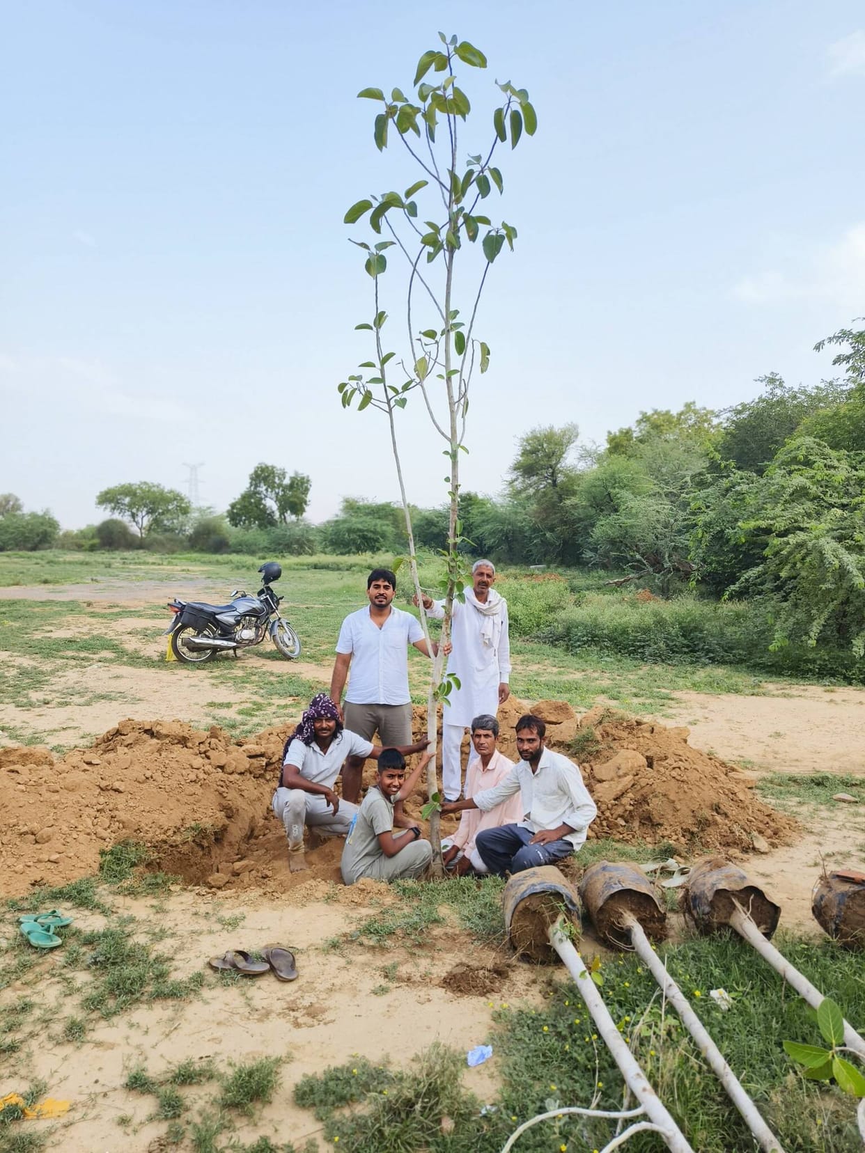 Planted 10 banyan saplings on the birthday.