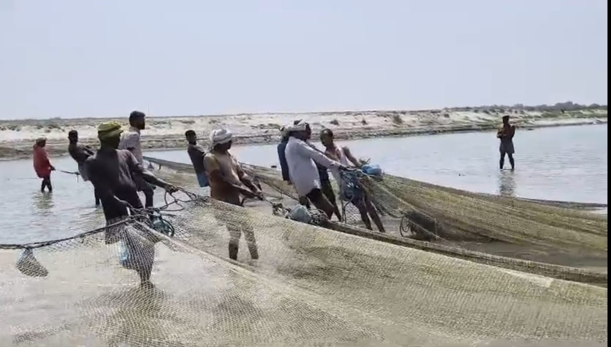 Fishing continues in the Ganga despite the ban.