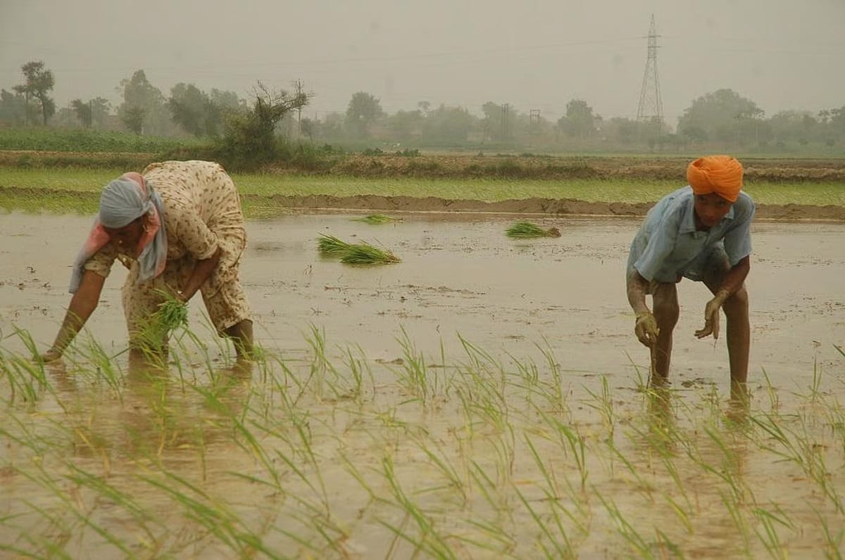 Jind News: उमस भरी गर्मी ने किया परेशान, पारा पहुंचा 39 डिग्री