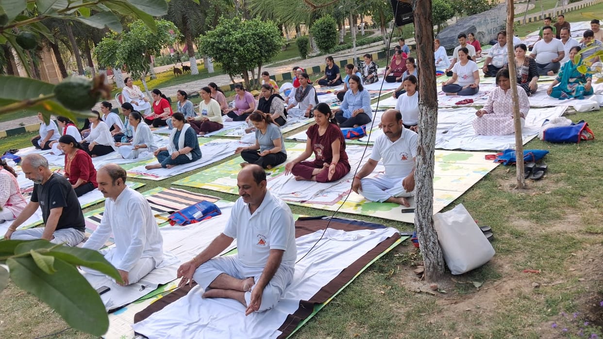 Practice yoga, stay healthy... practiced in the parks.