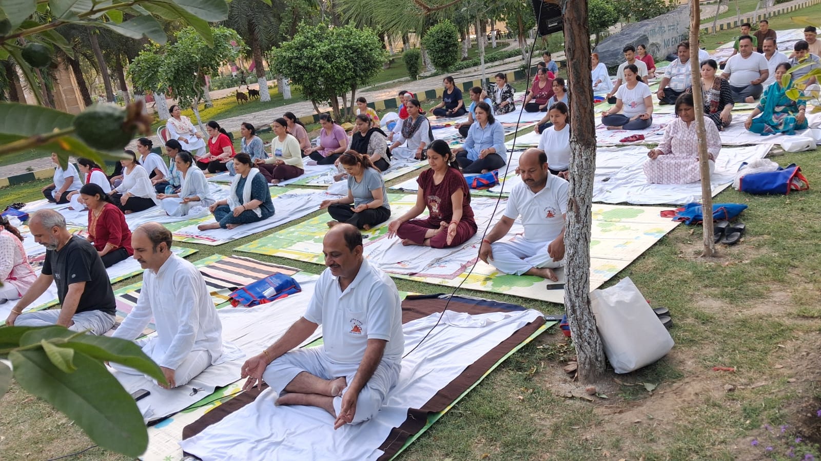 पार्क में योग करते साधक। स्रोत : संस्था