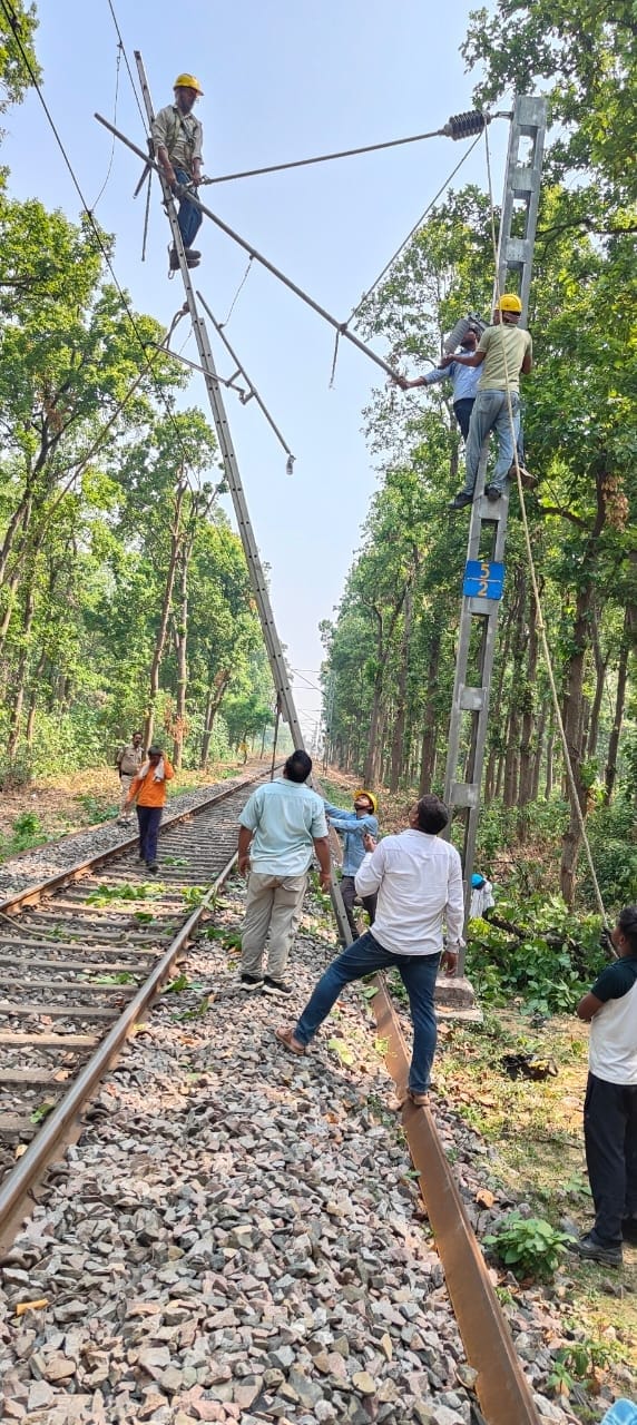 Tree falls on OHE line; track disrupted for two and a half hours.
