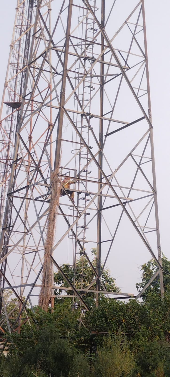 Young woman climbs tower, insisting on marrying her lover; FIR registered.