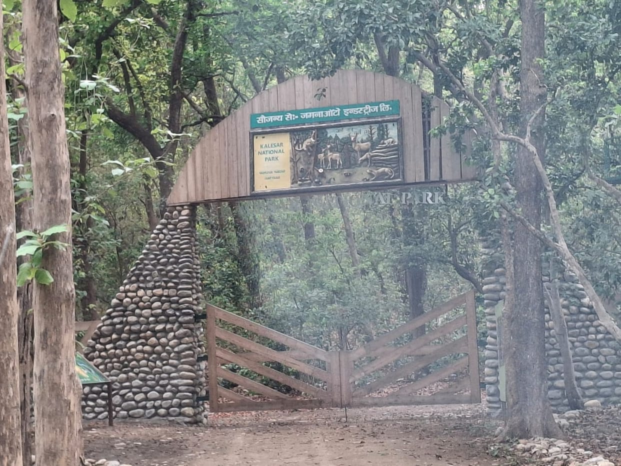 Kalesar Jungle Safari to remain closed for three months during the monsoon