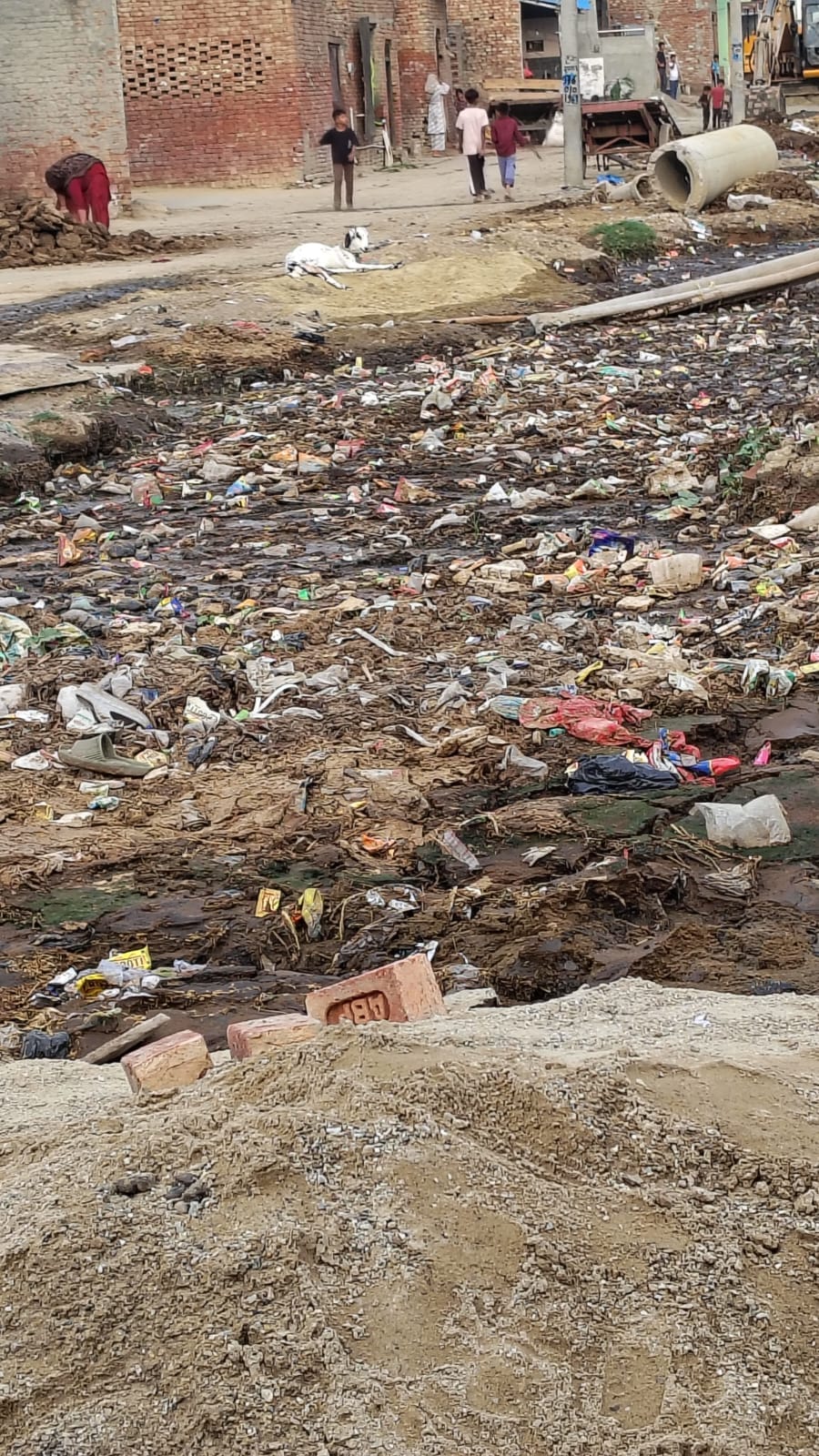 Villagers distressed by filth in ponds and drains; staged a protest.