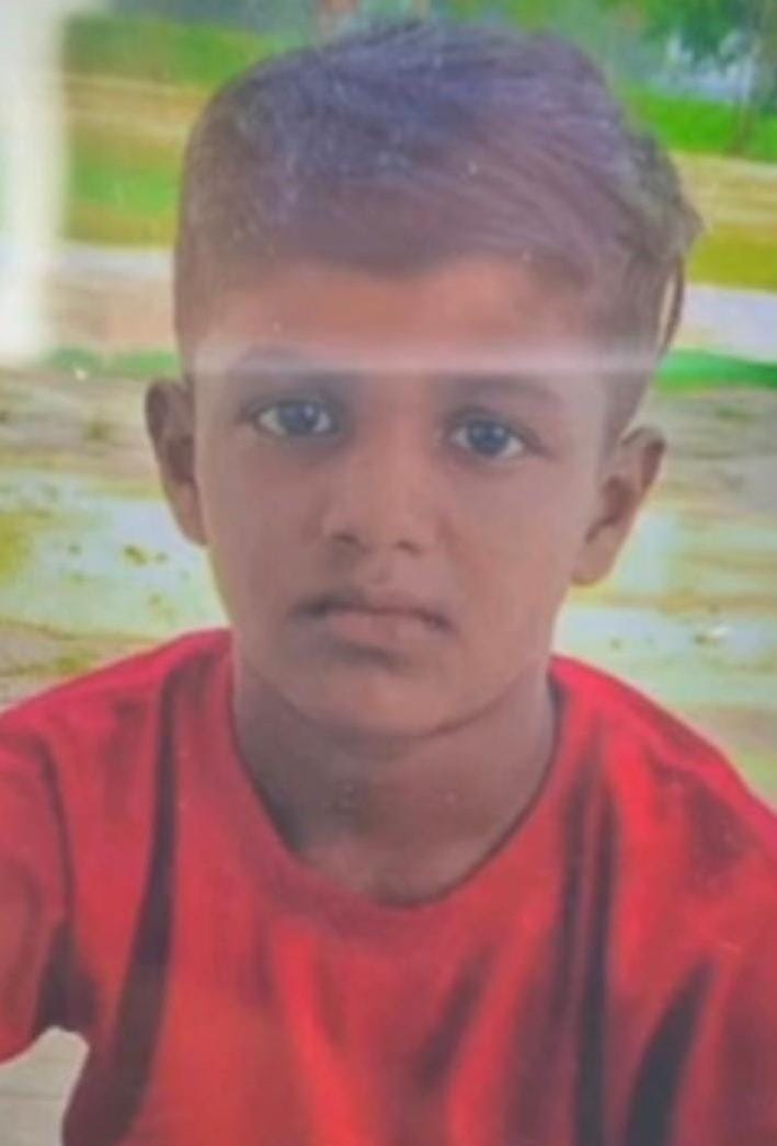 Boy struck by tractor-trolley, dies