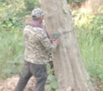 80 cameras installed on forest roads to detect wildlife activity.