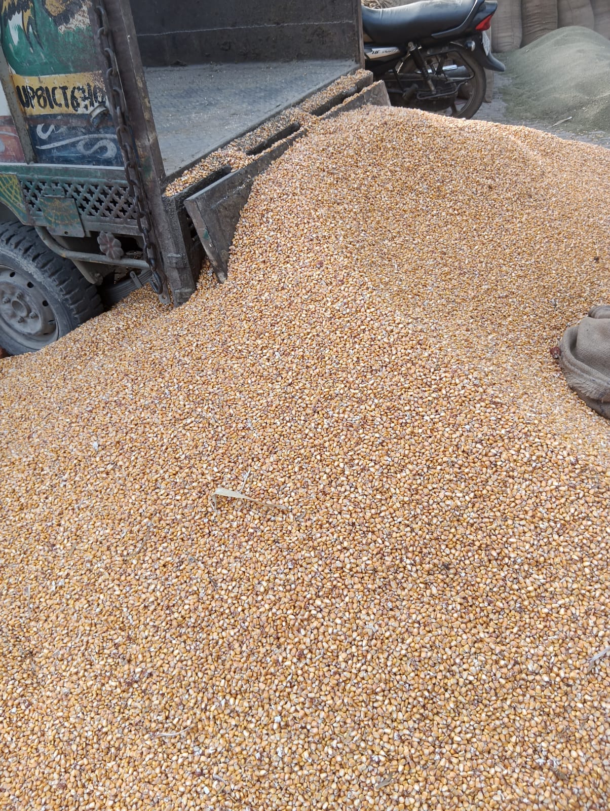 Maize procurement stalled due to delays in registration and verification