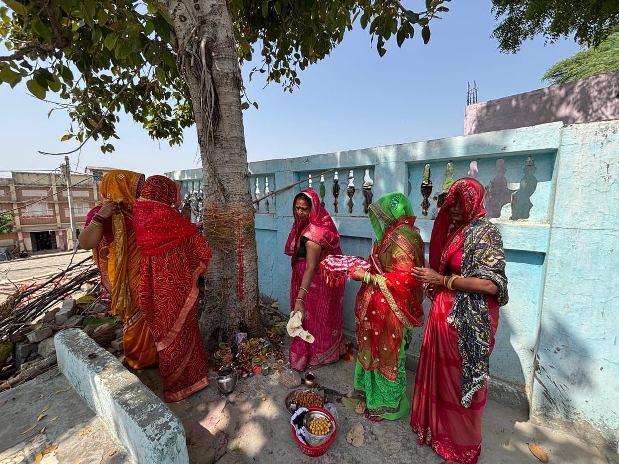 Vat Saptami: Married women prayed for their husbands' long lives by worshipping the banyan tree. The immortal tale of Satyavan and Savitri resonated under the shade of the banyan tree in Bateshwar.