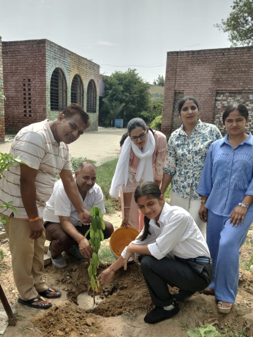 Students planted trees under the banner of One Tree for Mother