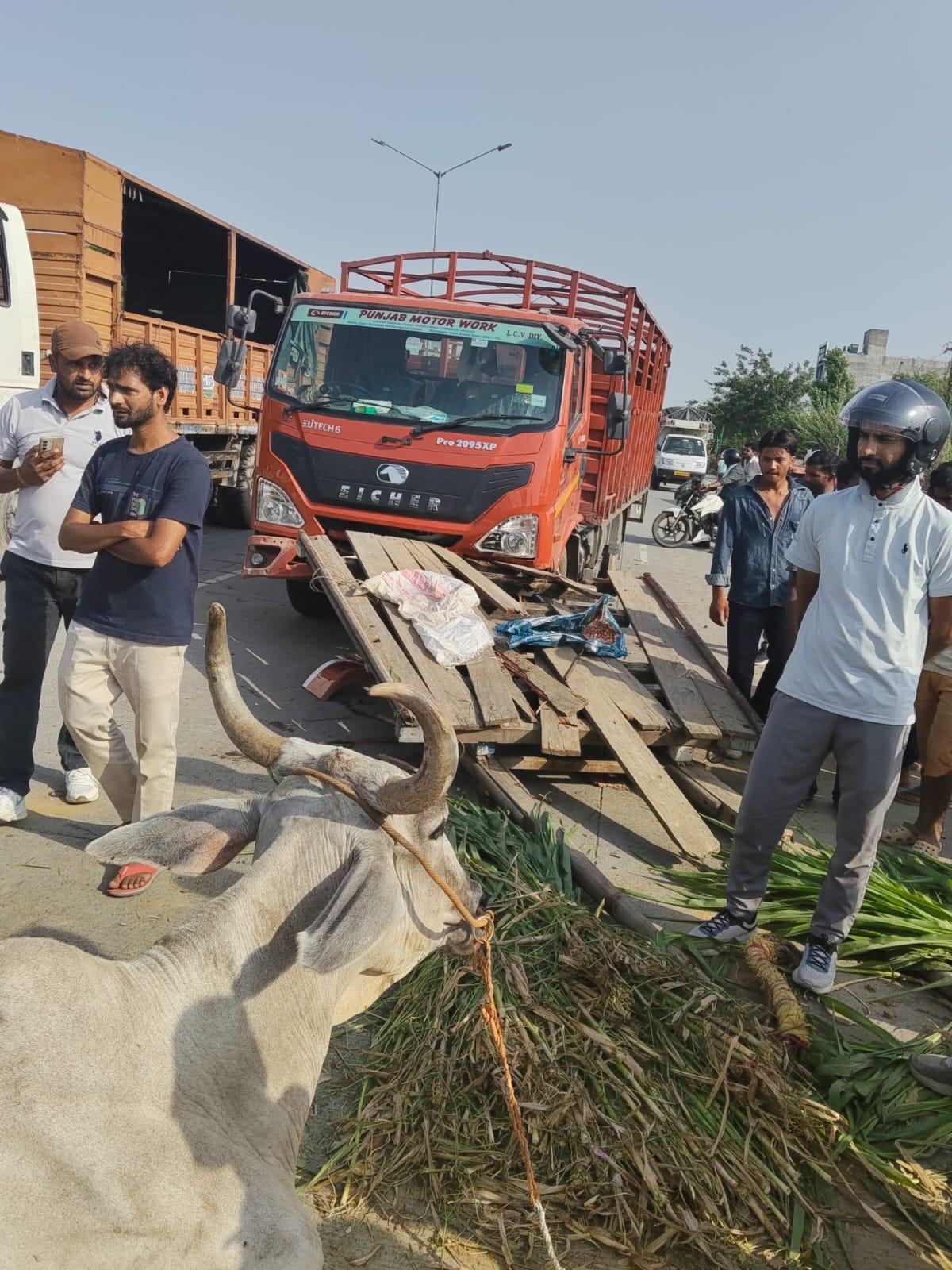 गुलावठी कैंटर की टक्कर से क्षतिग्रस्त बुग्गी, घायल बेल मौके पर खड़ी कैंटर। संवाद