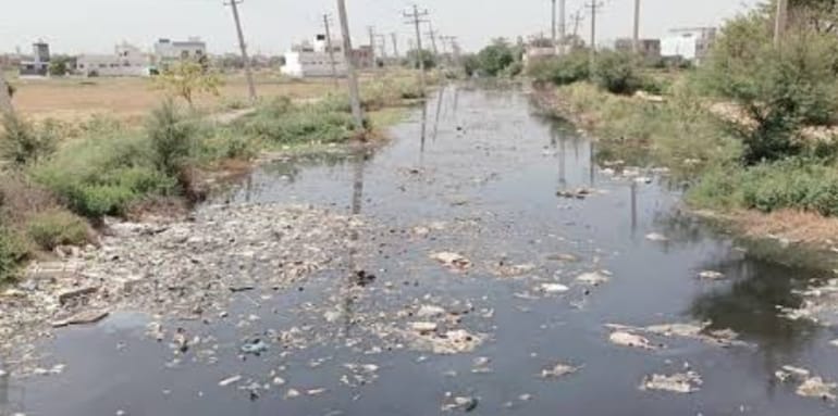 Dirt spread in the drain of Sector-18 of the city